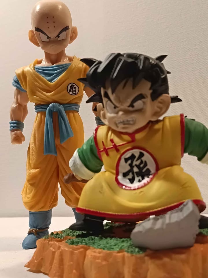 Gohan and krillin - photo 5