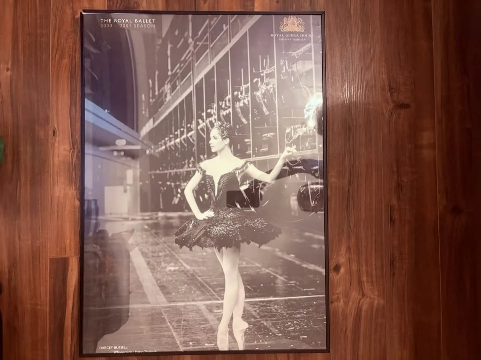 🖼️ Parisian, Ballet & Classic Art Collection – Holiday Sale! ❄️🇫 image indicator(3)