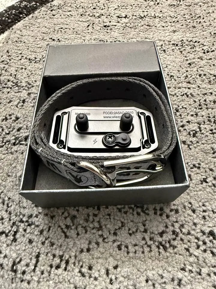 Wise D020 GPS pet fence system