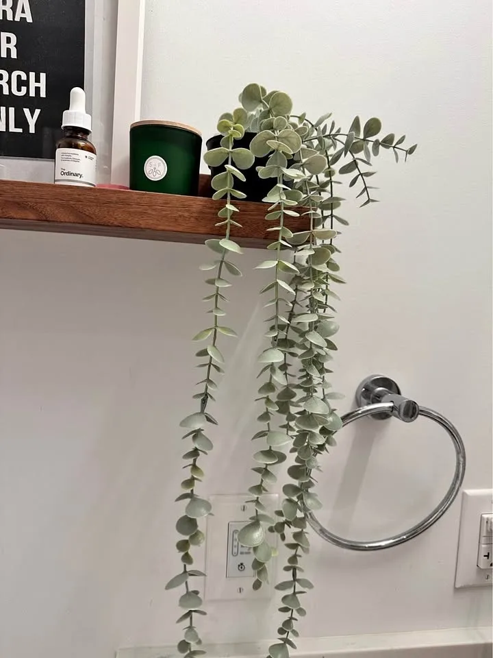 Moving sale- bathroom decor