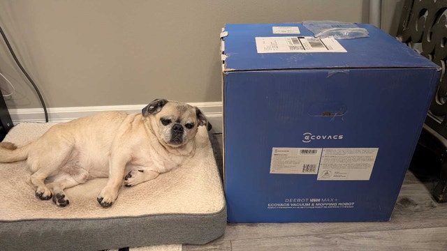 ecovacs N10 max plus
