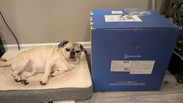 ecovacs N10 max plus