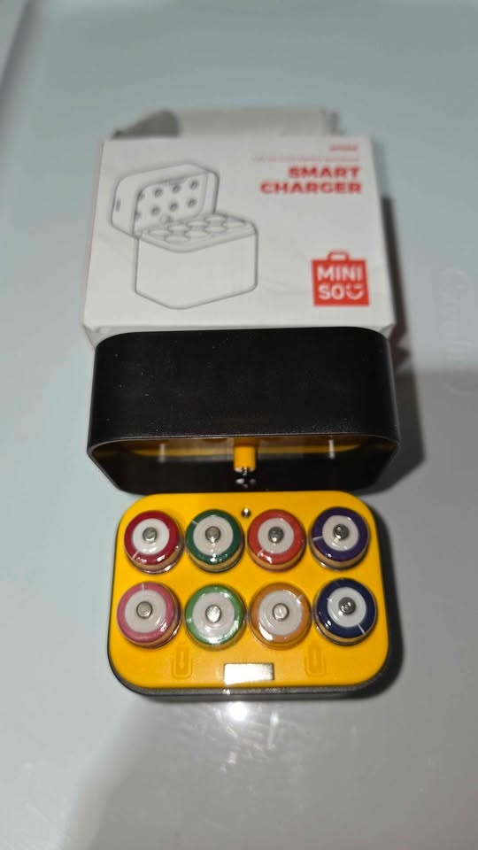 Rechargeable batteries AA with charging case 8pk