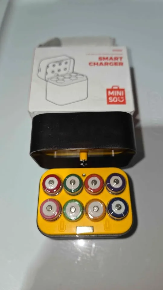 Rechargeable batteries AA with charging case 8pk