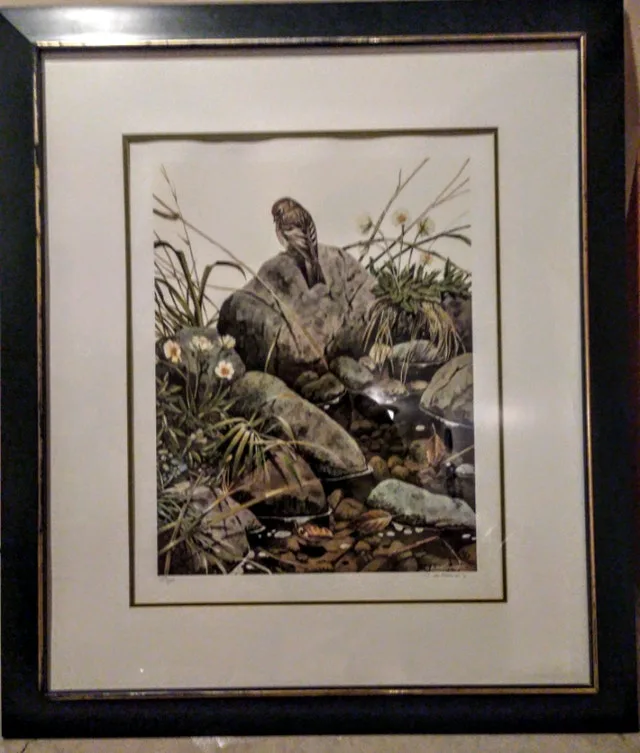 Allan Sakhavarz Call Text Make Other 705-440-9159