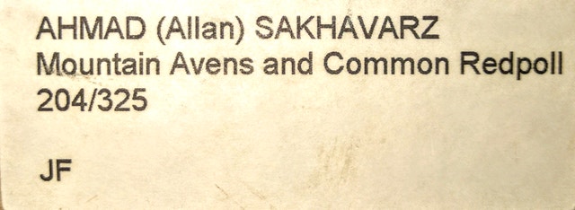 Allan Sakhavarz Call Text Make Other 705-440-9159 - photo 5