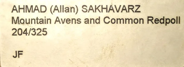 Allan Sakhavarz Call Text Make Other 705-440-9159 image indicator(5)