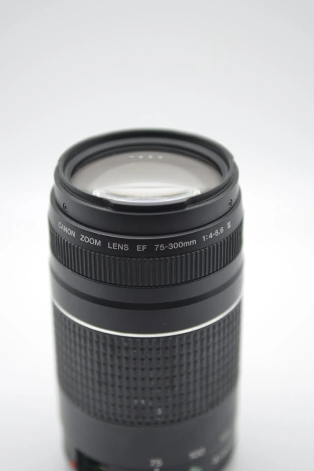 Vintage DSLR – Canon Rebel XTi | Body + 75-300mm Lens - photo 3