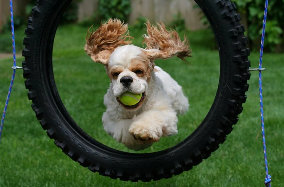 Vintage DSLR – Canon Rebel XTi | Body + 75-300mm Lens - photo 4
