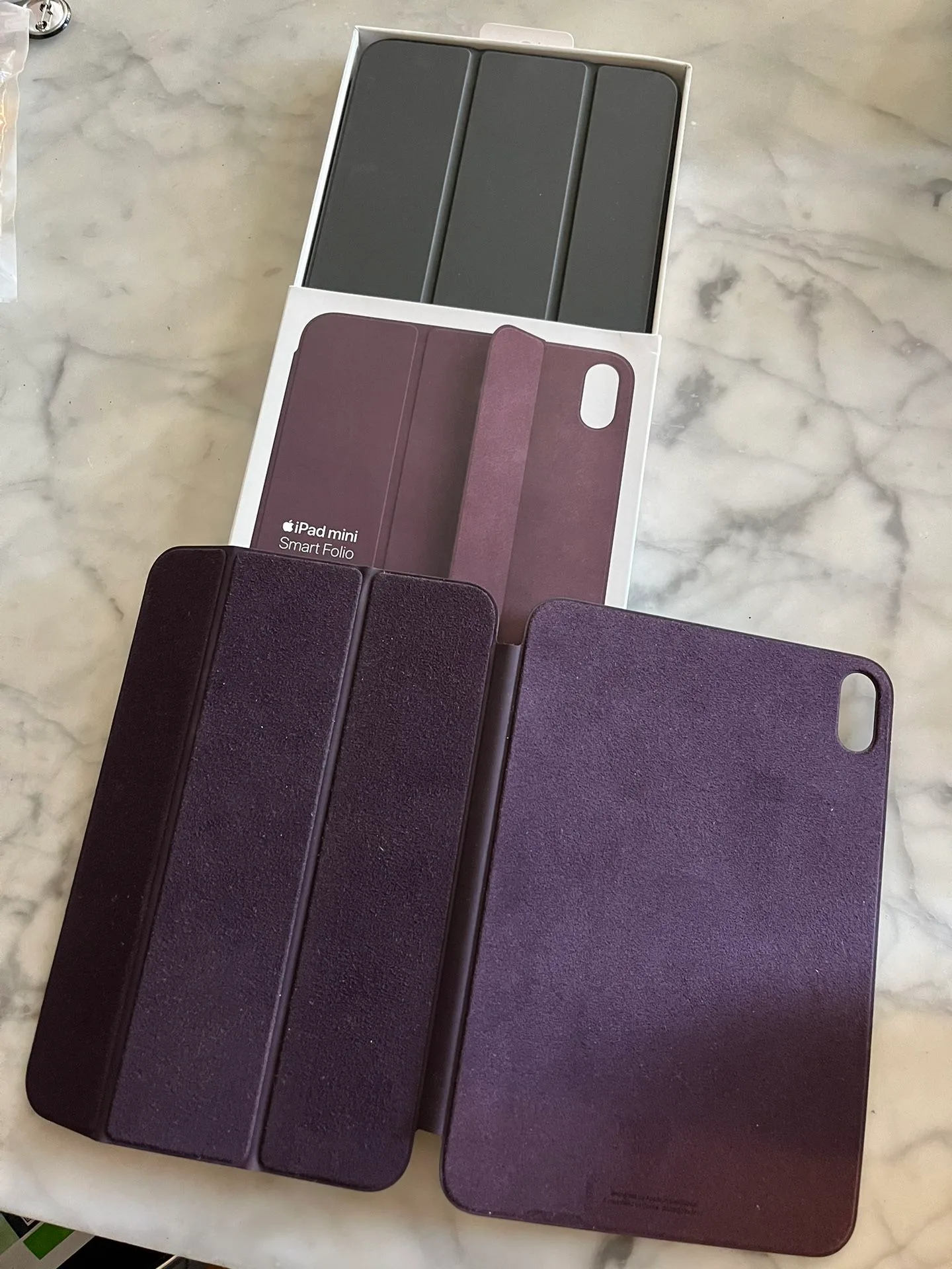 Apple iPad mini 6 Folio Cases (two) image indicator(3)