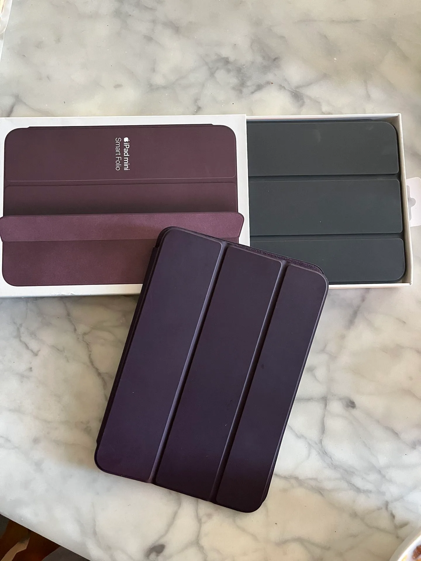 Apple iPad mini 6 Folio Cases (two) image indicator(4)