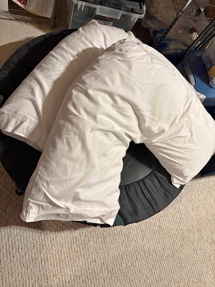 2 curved body pillows with pillow cases - next to new- pick up N