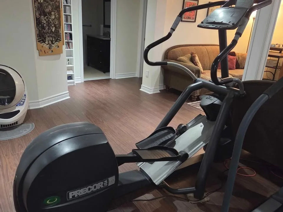 Precor EFX546 elliptical machine image indicator(2)