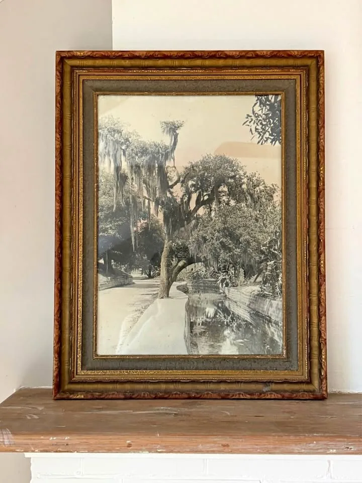 Hand Tinted Antique Framed Spanish Moss Landscape Photo