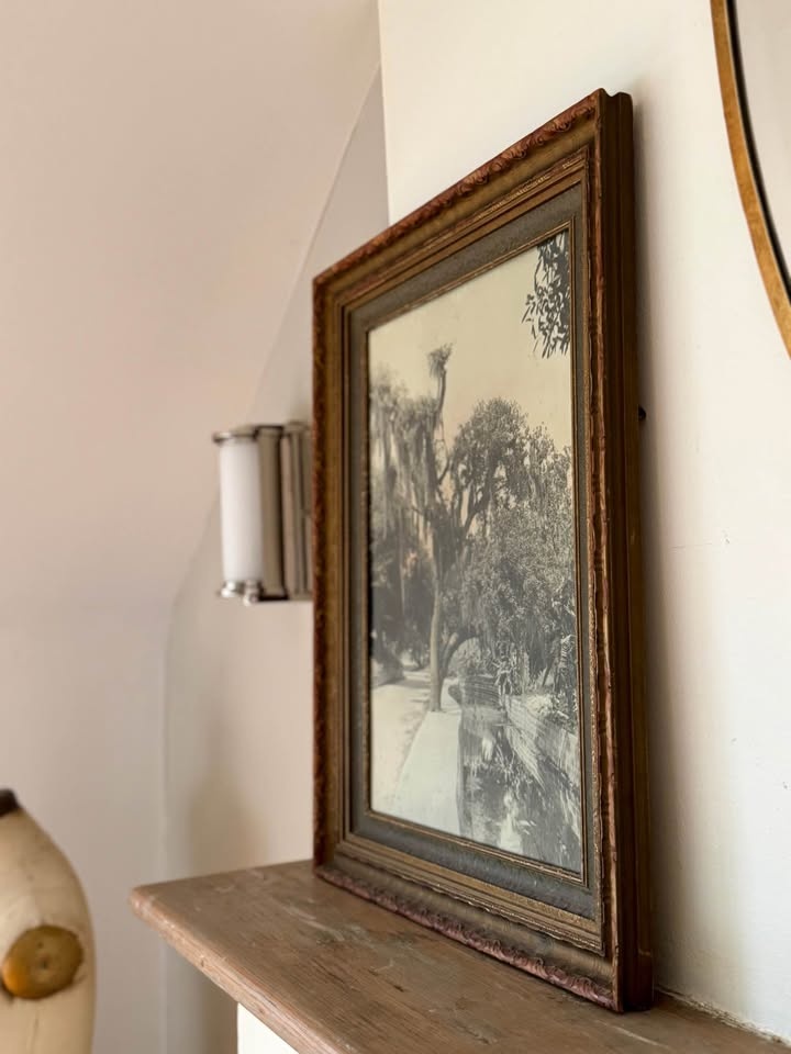 Hand Tinted Antique Framed Spanish Moss Landscape Photo - photo 3