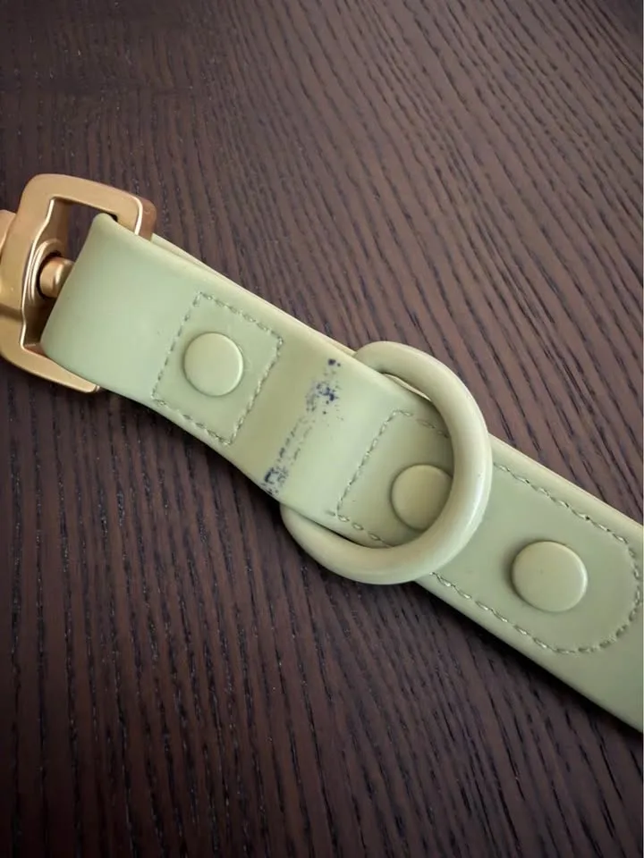 Hands Free Leash in Sage Green image indicator(2)