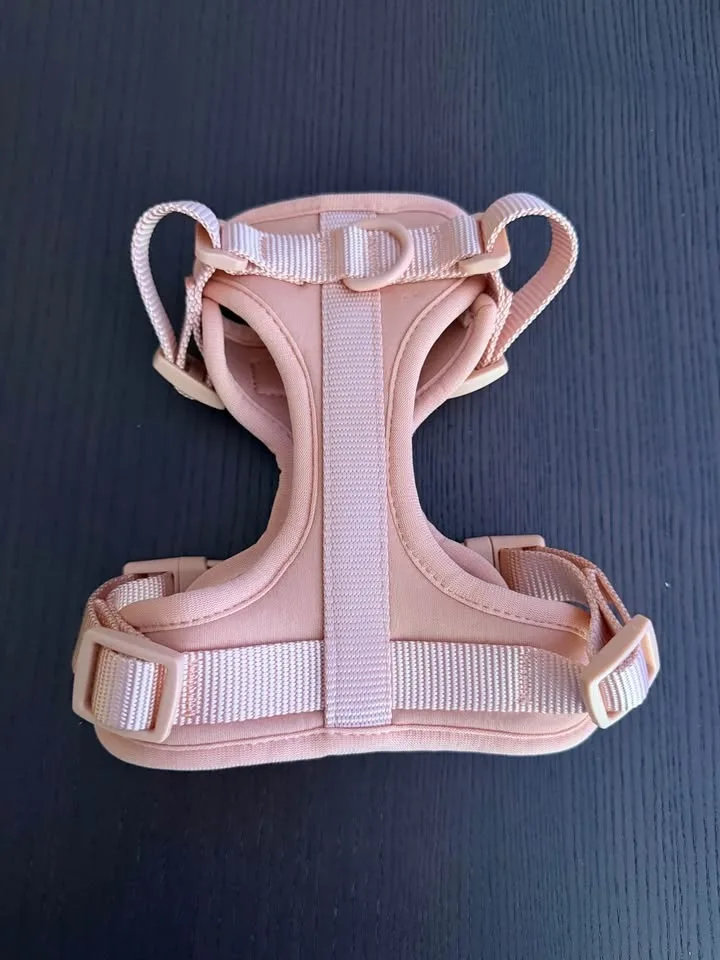 Pink harness image indicator(2)