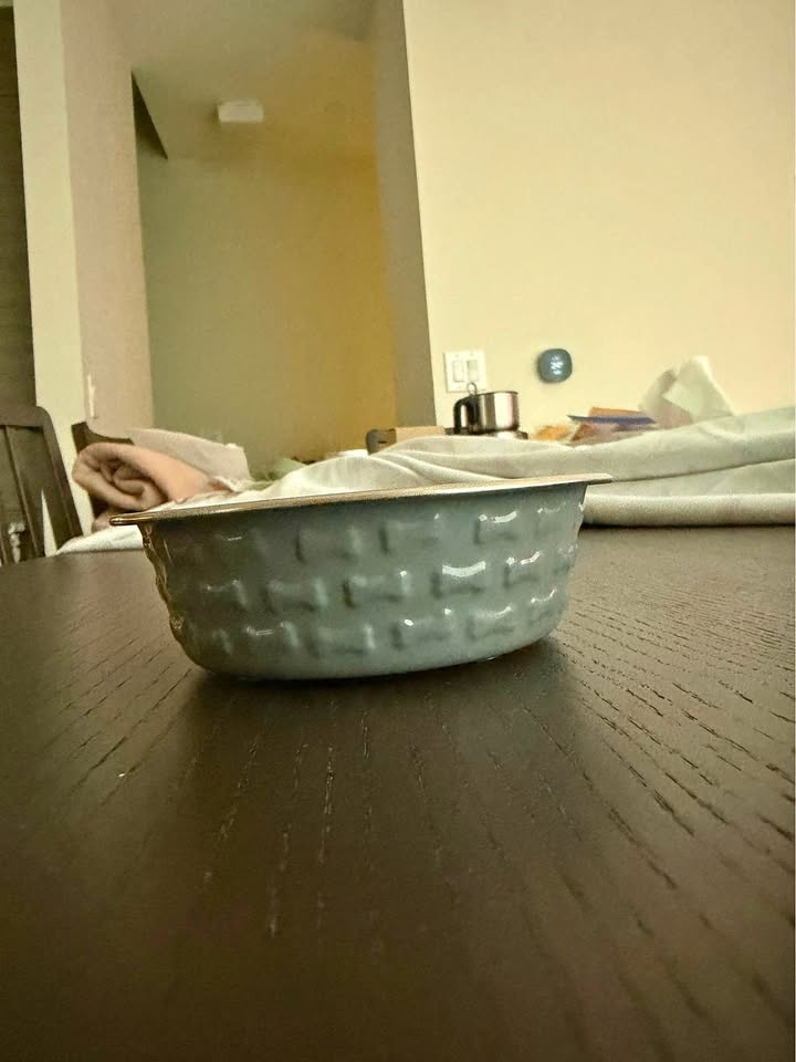 Pet food/water bowl - gray