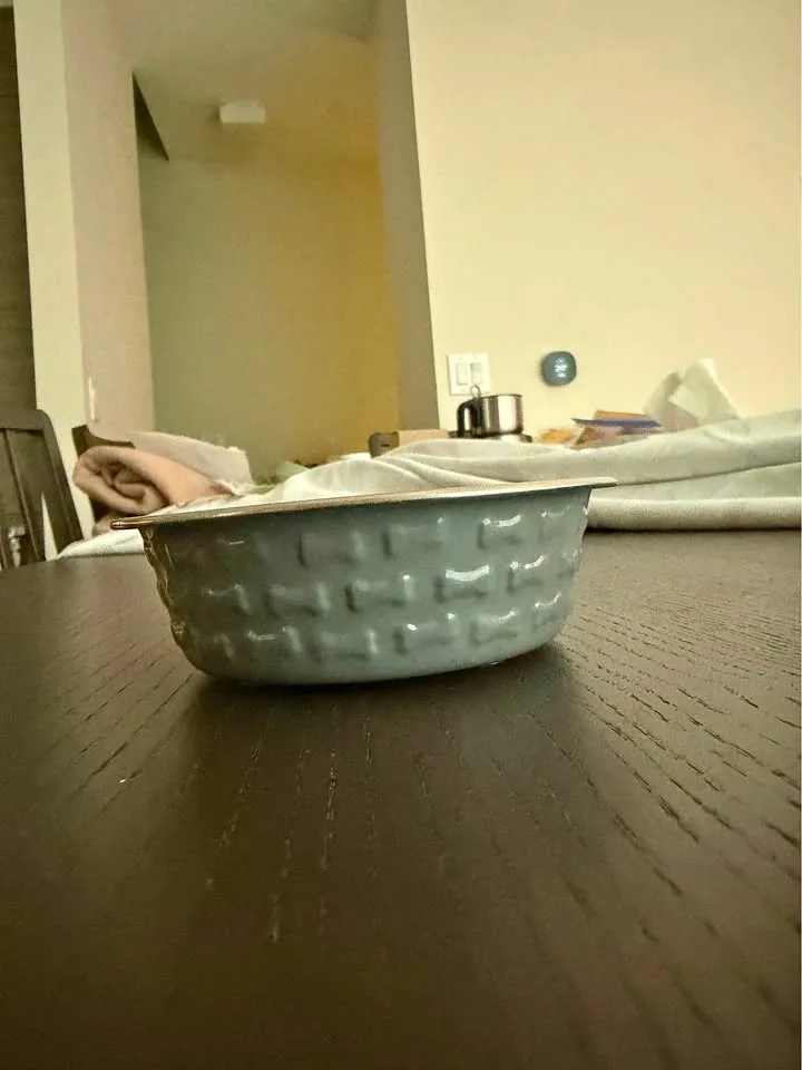 Pet food/water bowl - gray