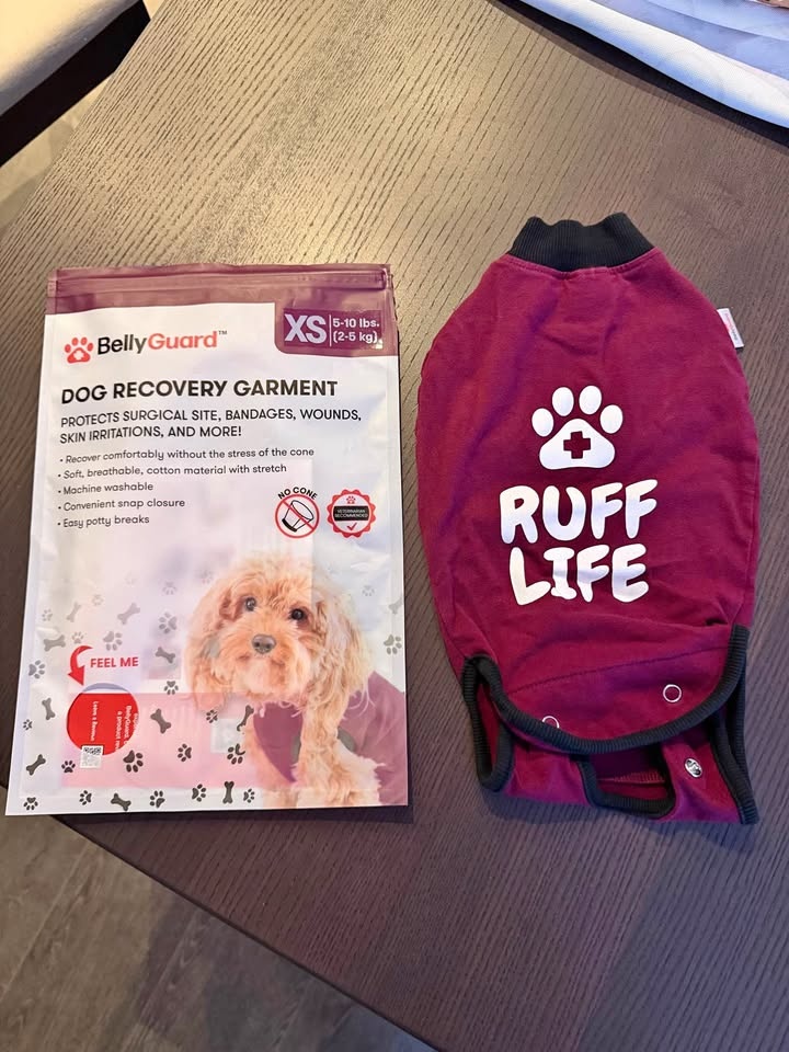 BellyGuard Dog Surgery Suit for Male and Female