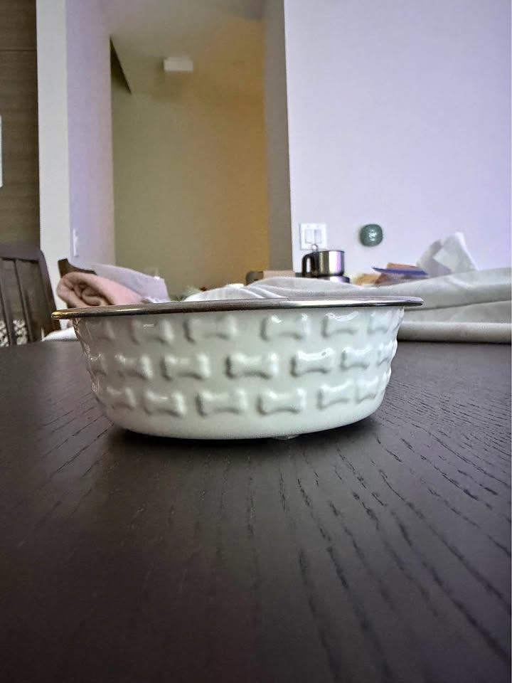 Pet food/water bowl - white