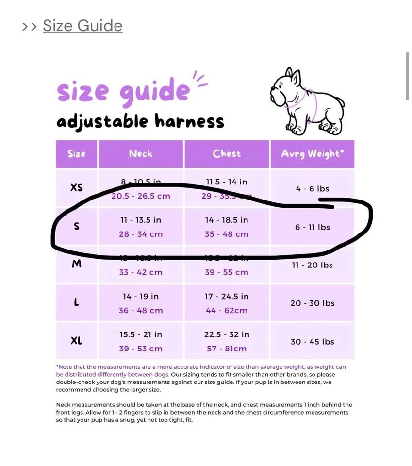 Korriko pet bubble tea leash (S) image indicator(3)