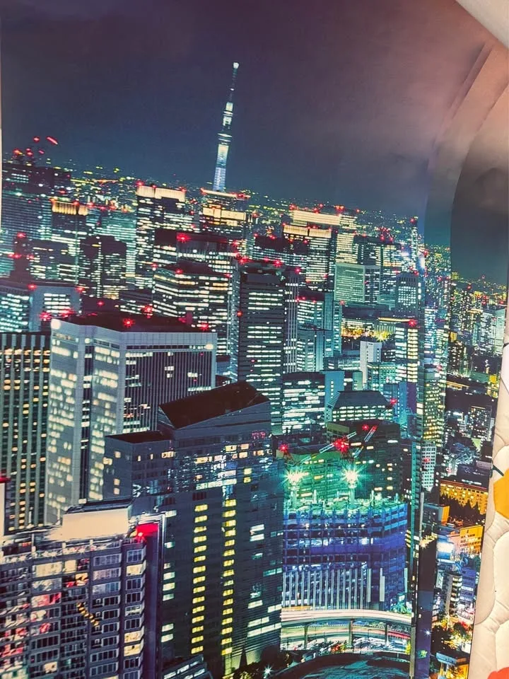 Tokyo Skyline at Night Wallpaper image indicator(2)