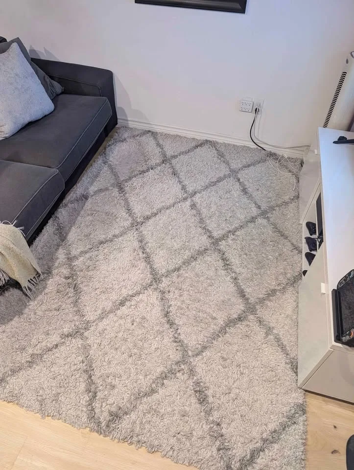 Shag Area Rug, 5' 3" x 7' 6" (5x8) image indicator(2)