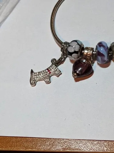 925 Silver Pandora Charms & Bracelet image indicator(8)