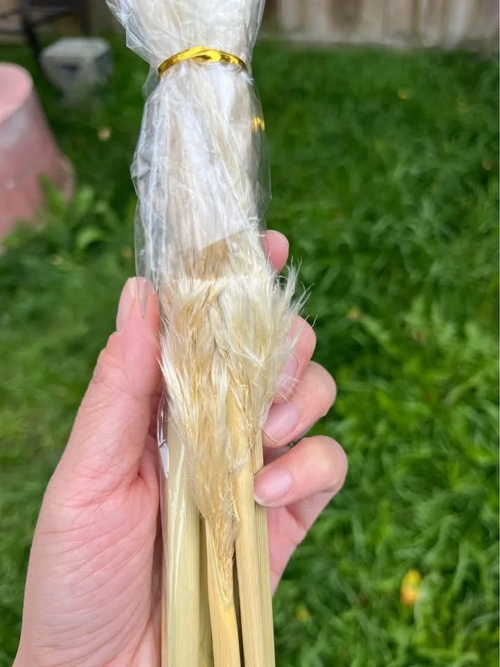 46” 7 pcs Pampas Grass Decor Tall, Natural Pompas Grass... image indicator(2)