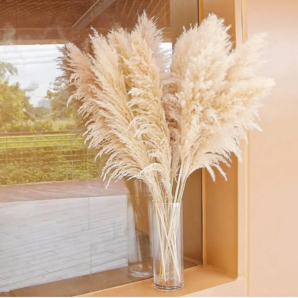 46” 7 pcs Pampas Grass Decor Tall, Natural Pompas Grass... image indicator(7)