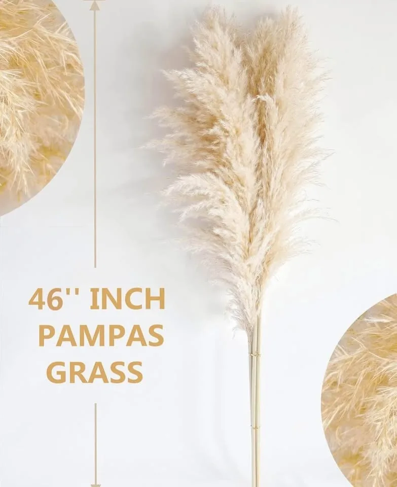 46” 7 pcs Pampas Grass Decor Tall, Natural Pompas Grass... image indicator(8)
