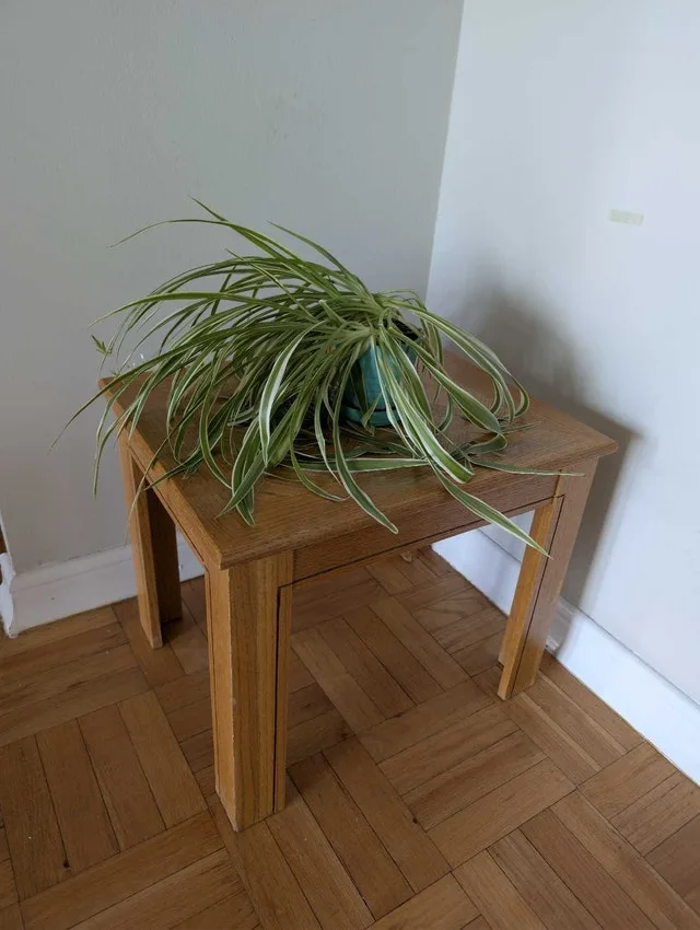 MOVE OUT Garage Sale! image indicator(6)