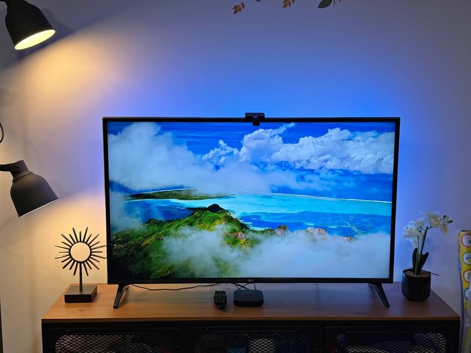 LG smart TV with Ikea industrial cabinet