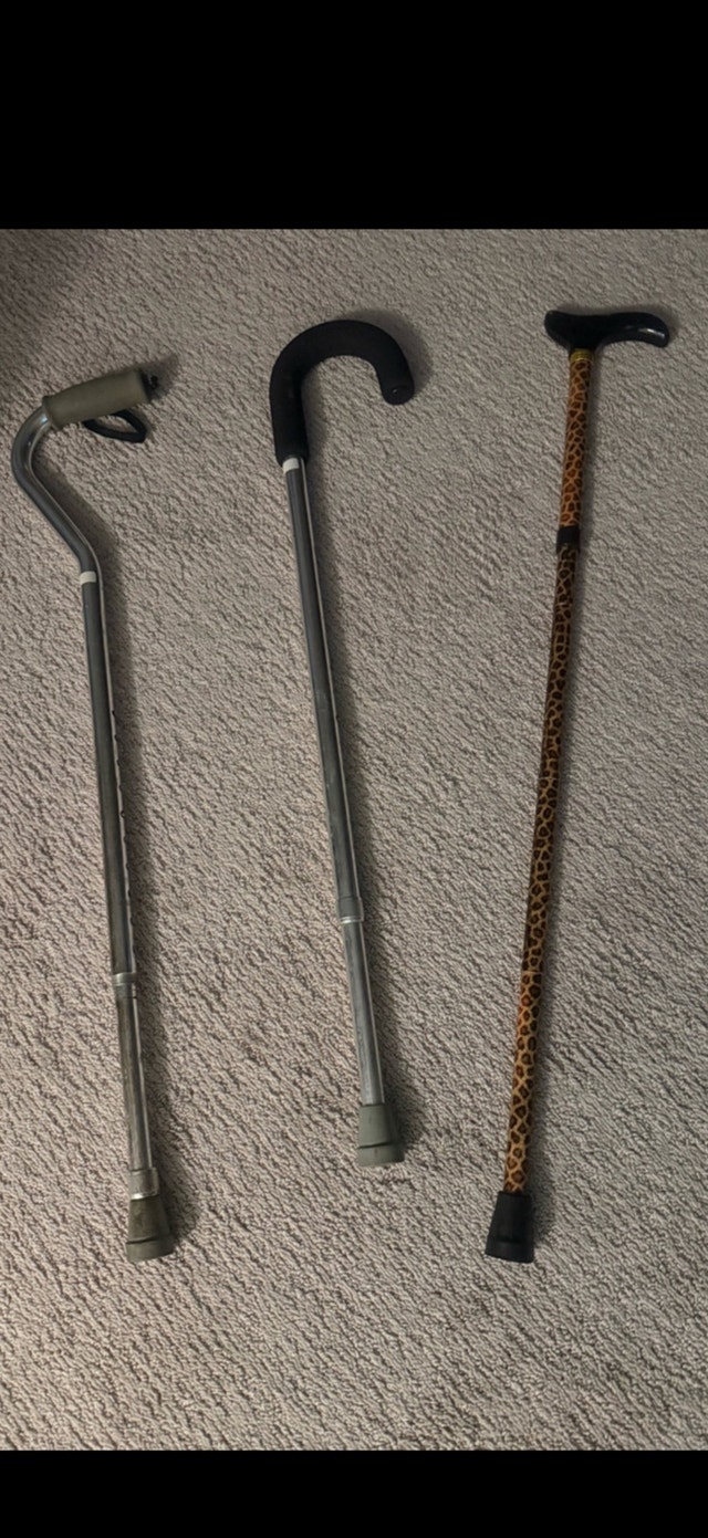 ambulatory cane