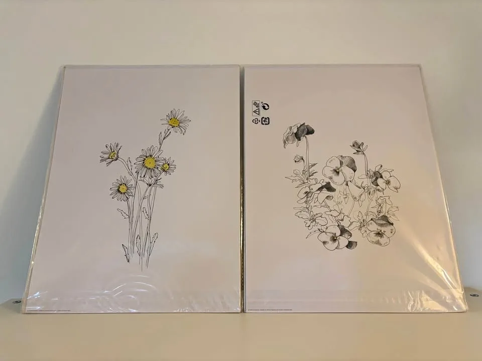 IKEA BILD 3-Pack Minimalist Flower Sketch Art NEW