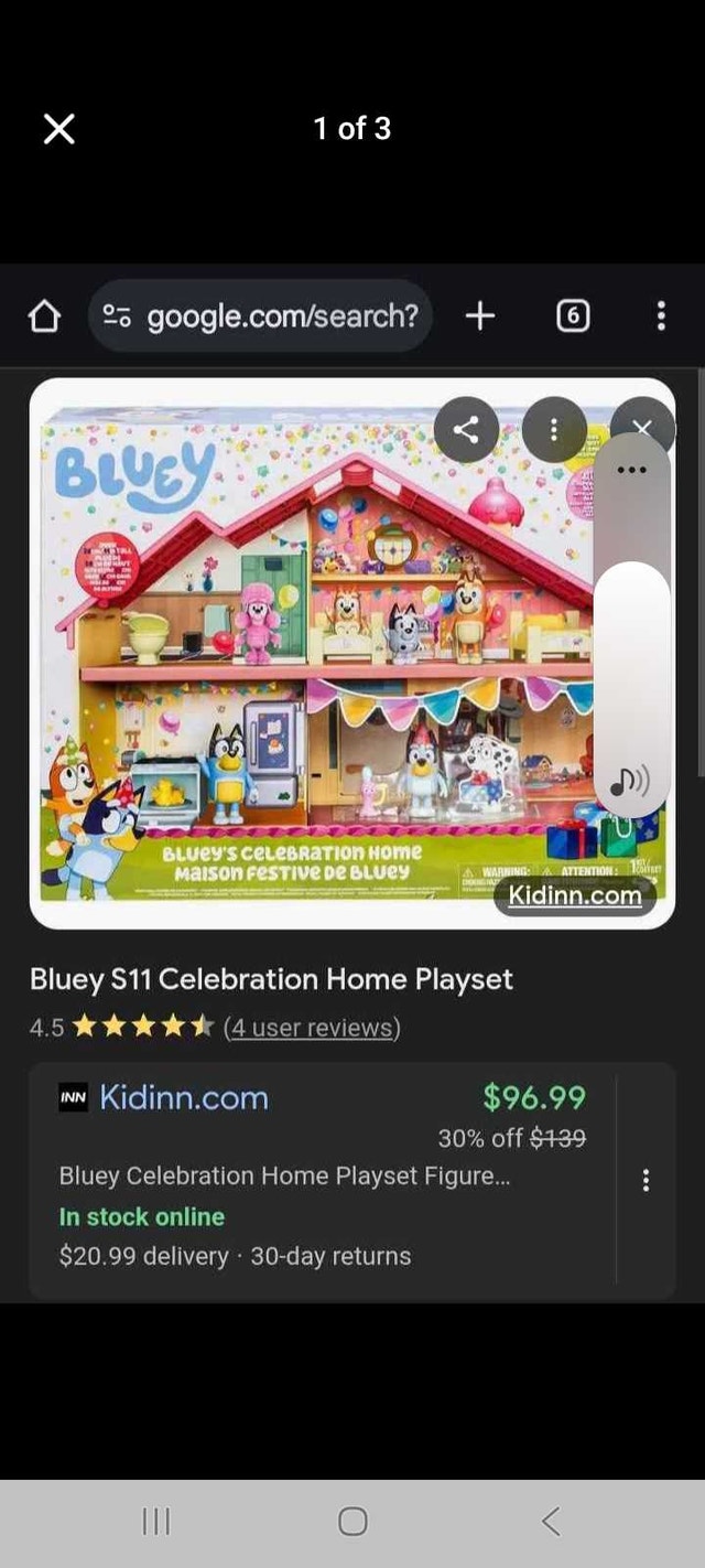 BLUEY BIRTHDAY HOUSE AND PLAYMAT