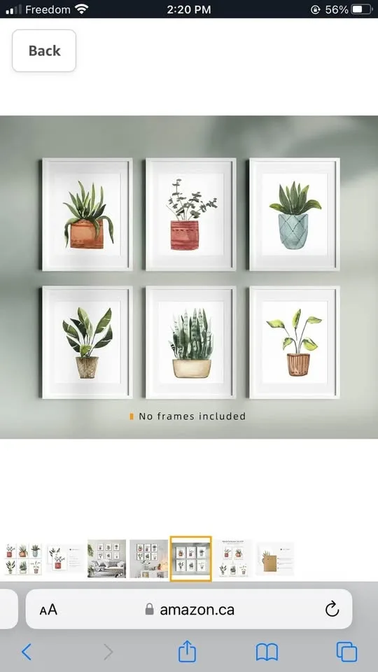 Plant Prints Wall Art Poster Boho Decor for Living Room image indicator(5)