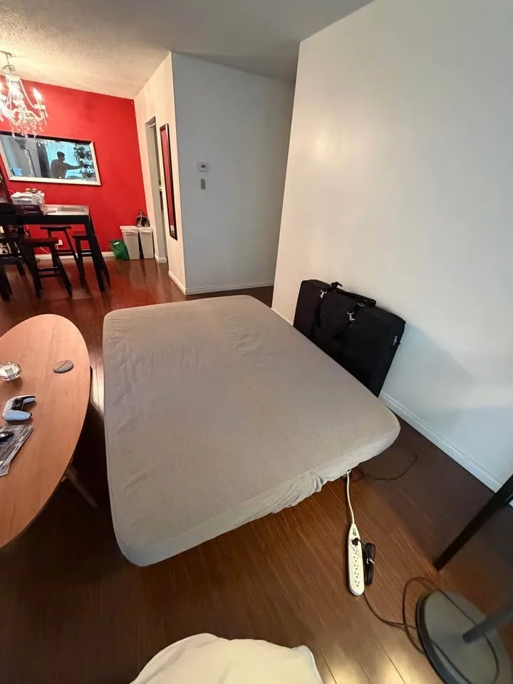 IKEA NYHAMN sofa bed with foam mattress image indicator(6)