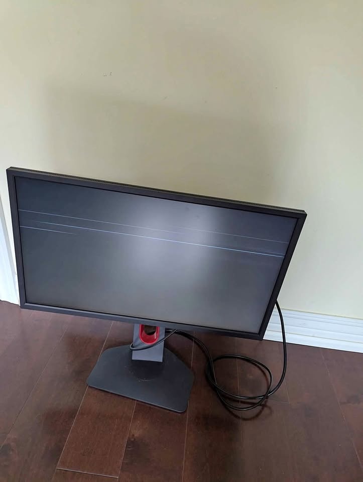 Monitor benq xl2456 - needs repair