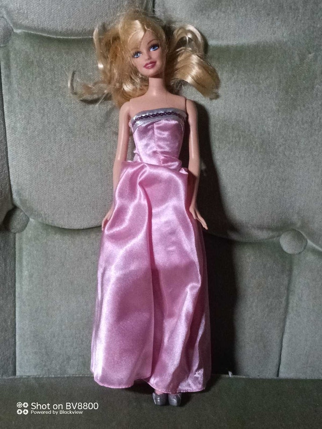 Barbie Dolls - photo 2