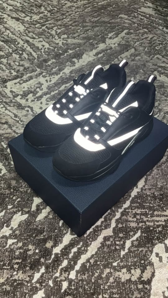 Dior B22 Black Reflective