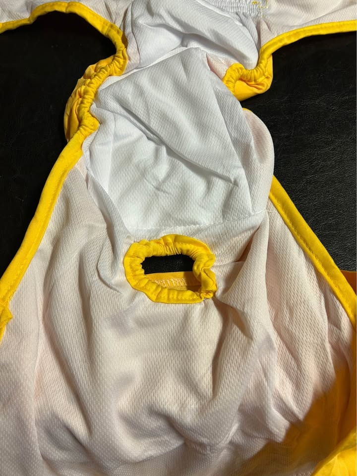 Xl Xpcare female dog diapers NEW - photo 4