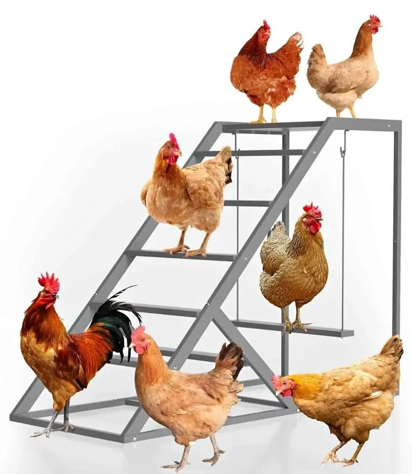 Chicken Perch for Coop with Chicken Ladder - Grey