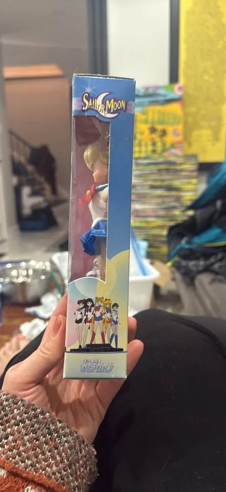 Sailor Moon doll image indicator(3)