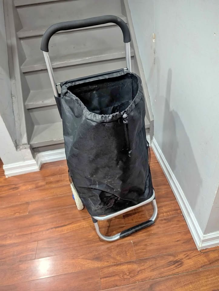 Shopping cart