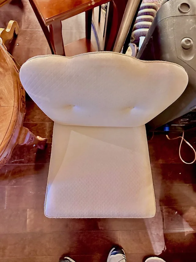 Vintage Tufted Slipper Chair image indicator(5)