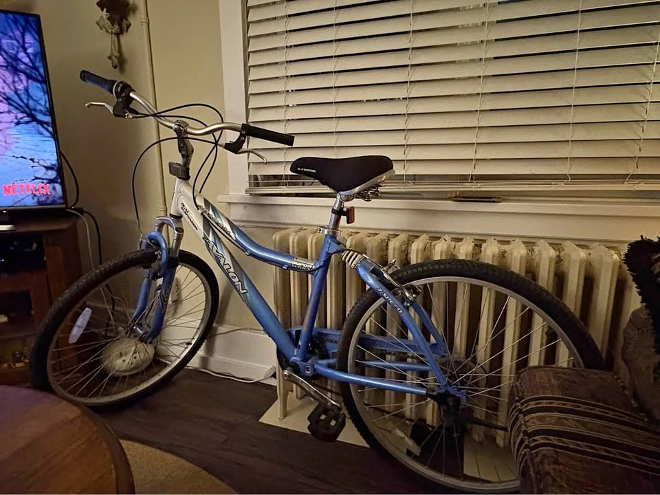 Avalon Aluminum Comfort Series 7 Speed Bike