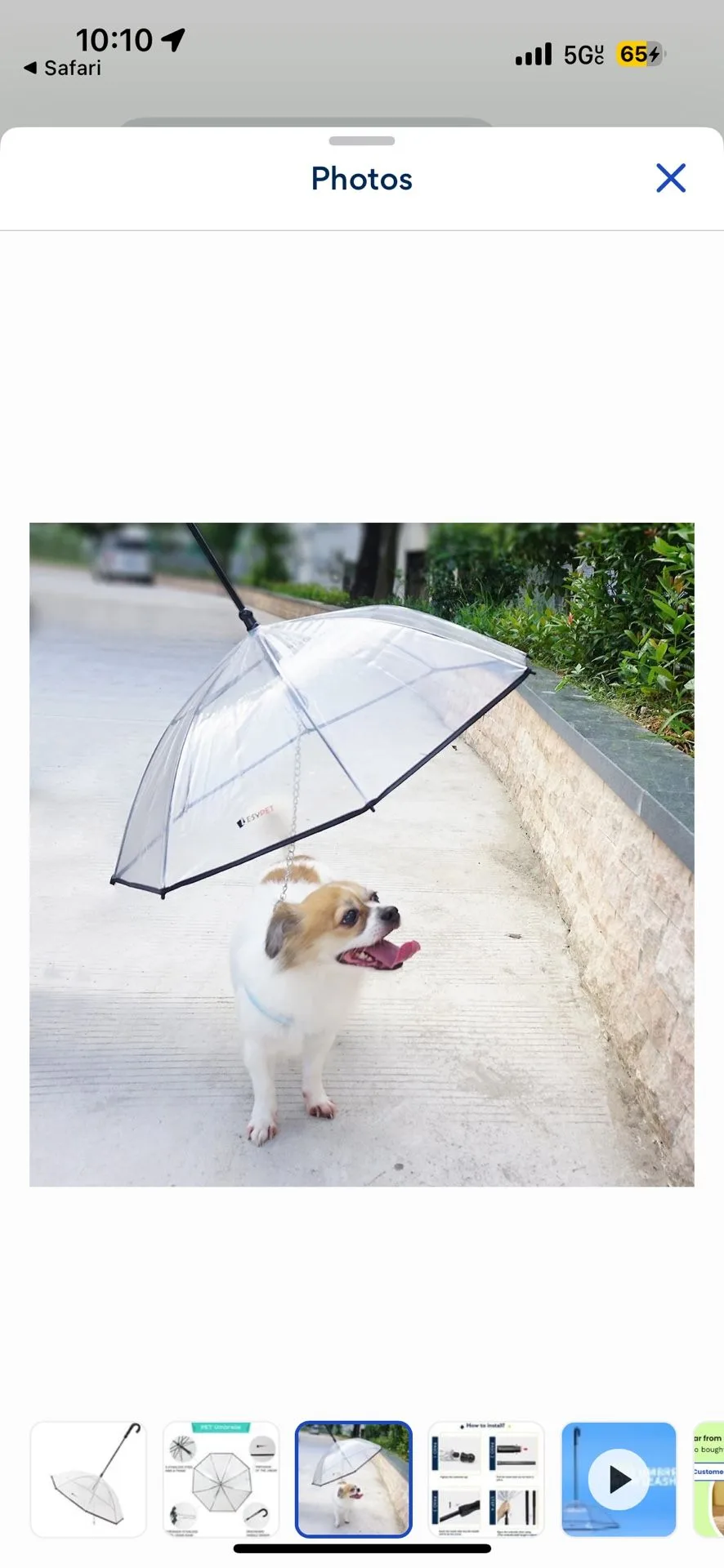 Dog Umbrella With Leash / Pet Umbrella