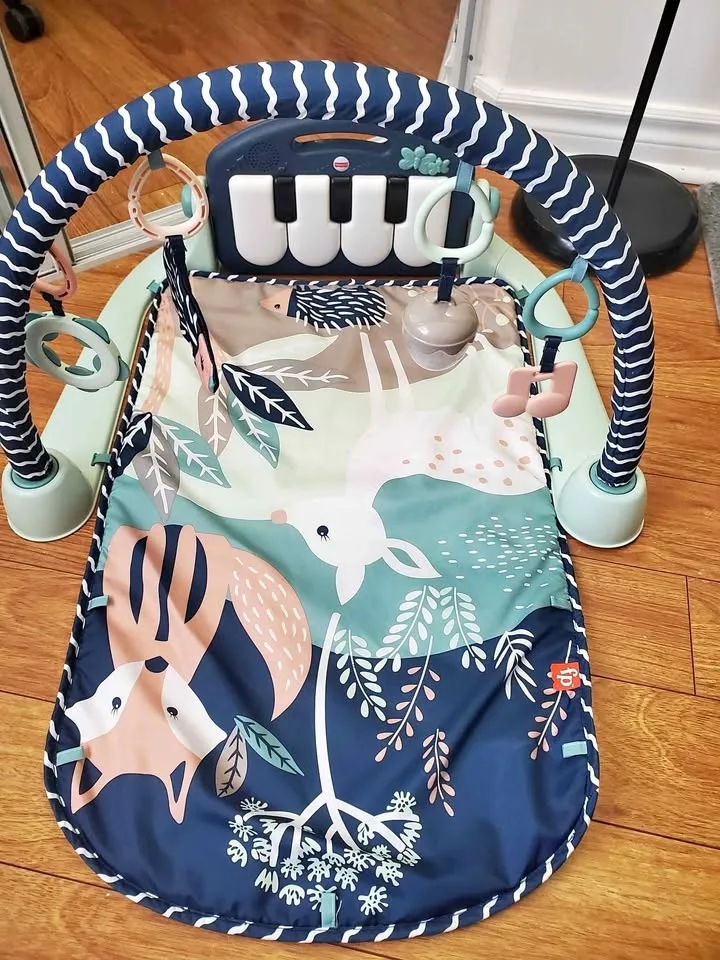 Fisher Price Gym Mat